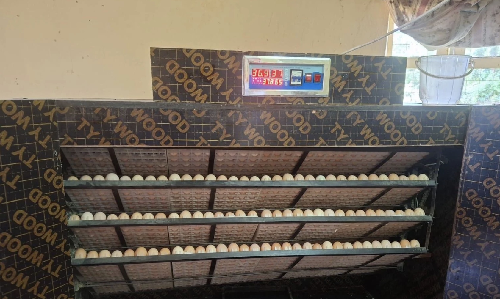 Incubator